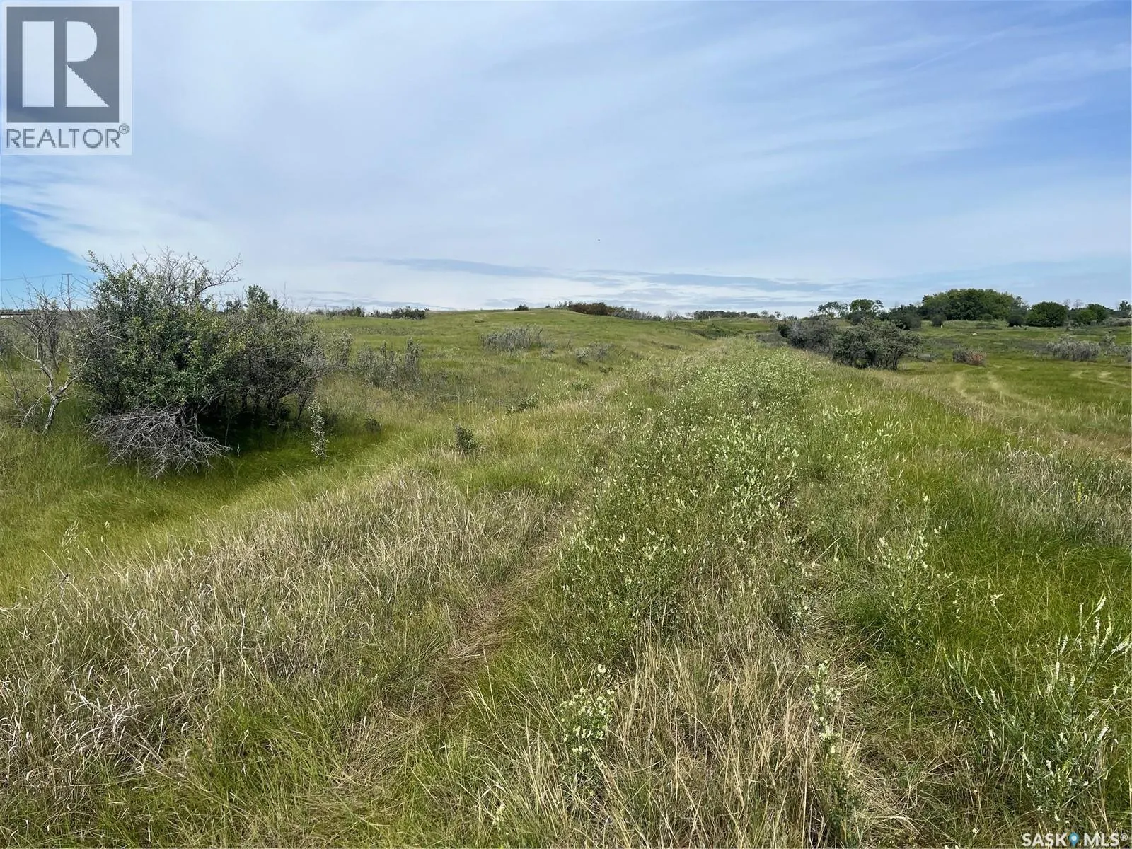 Borden Bridge 143.57 Acres
