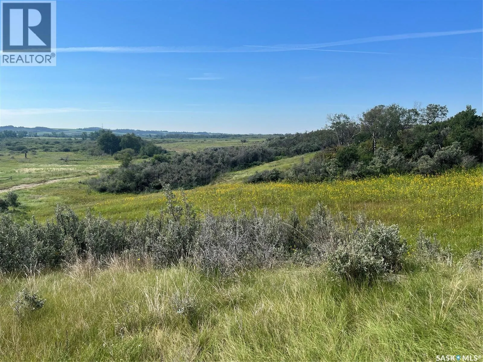 Borden Bridge 143.57 Acres