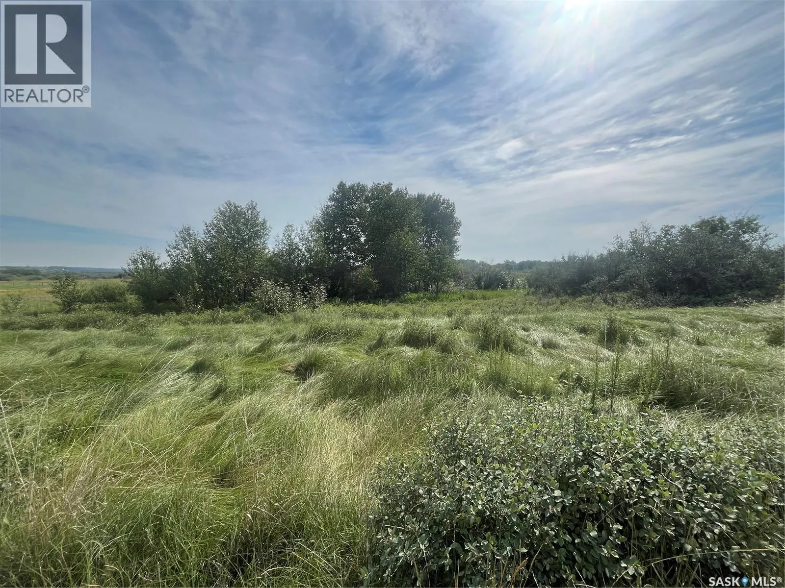 Borden Bridge 143.57 Acres