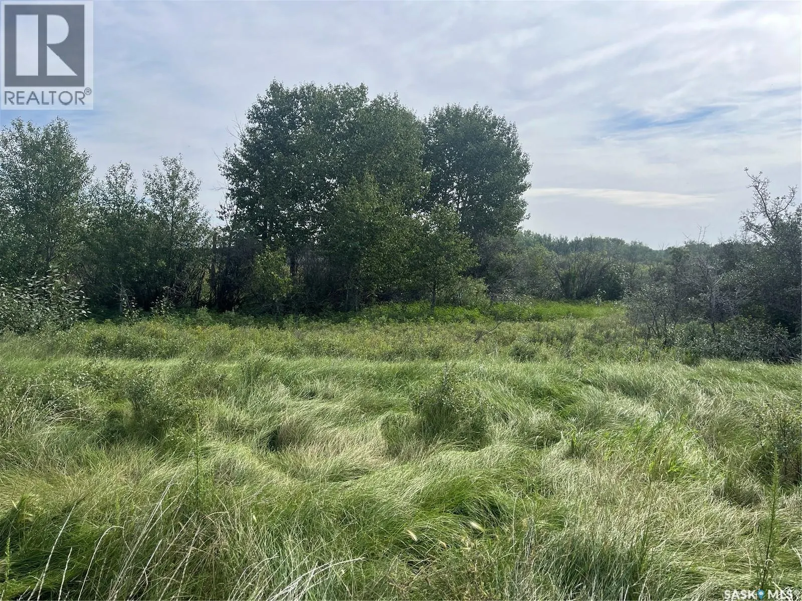 Borden Bridge 143.57 Acres