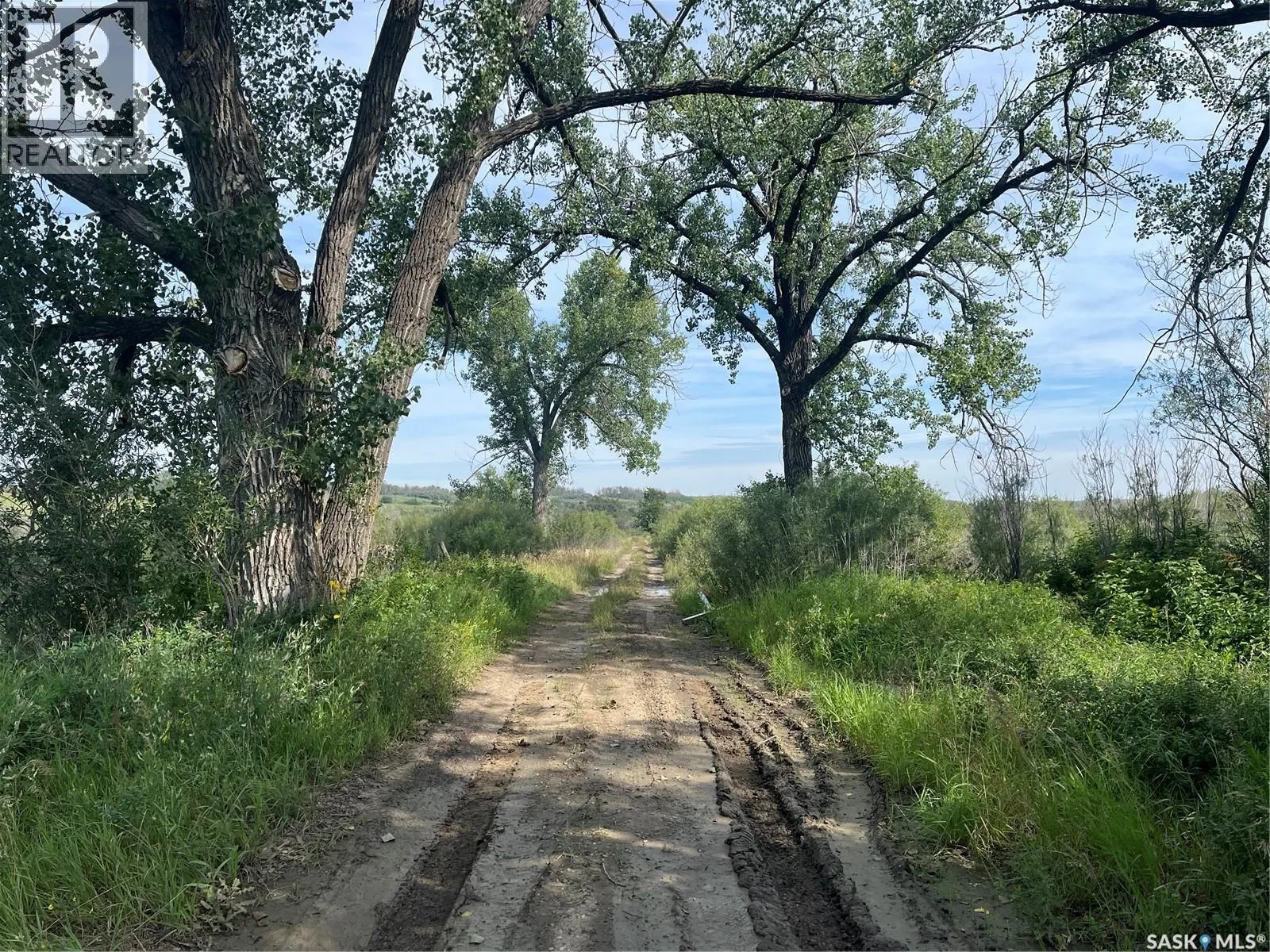 Borden Bridge 143.57 Acres