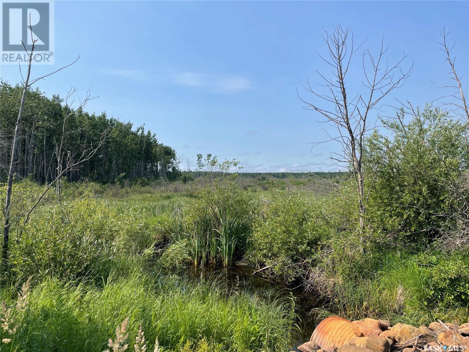 320 Acres Hunting Land