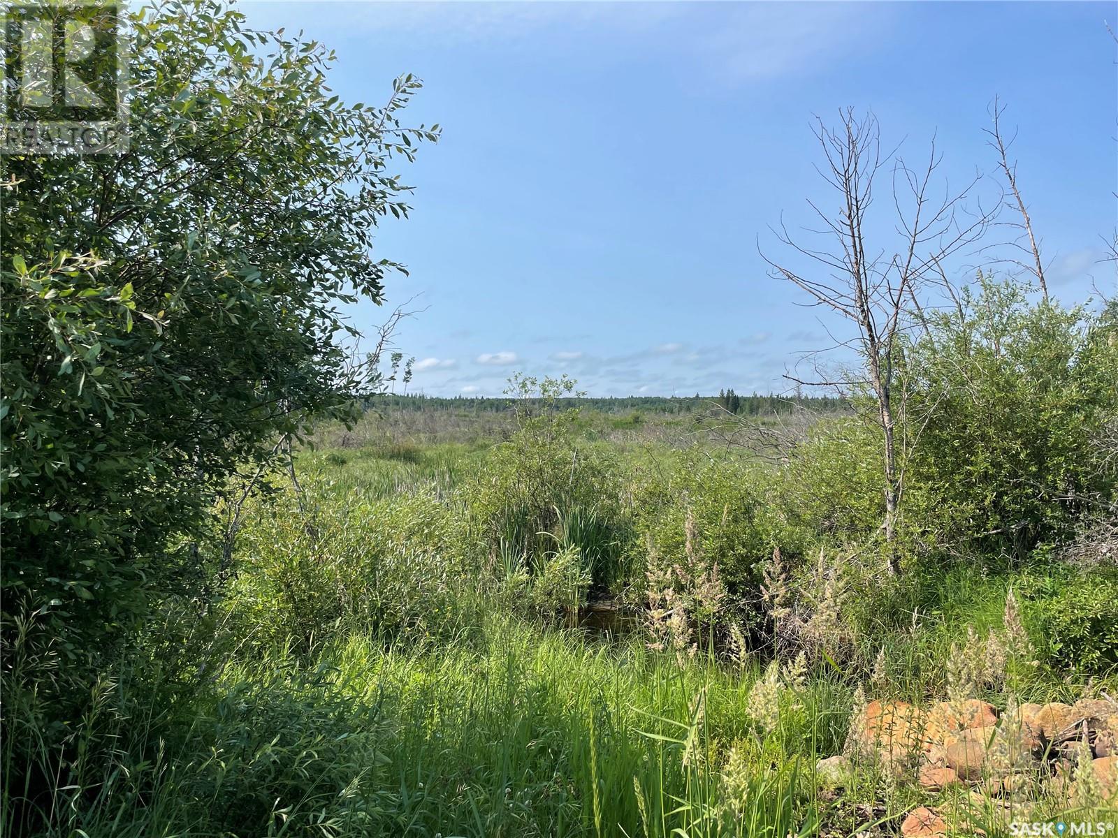 320 Acres Hunting Land