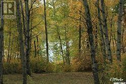 Keg Lake Block 101 Lot 14