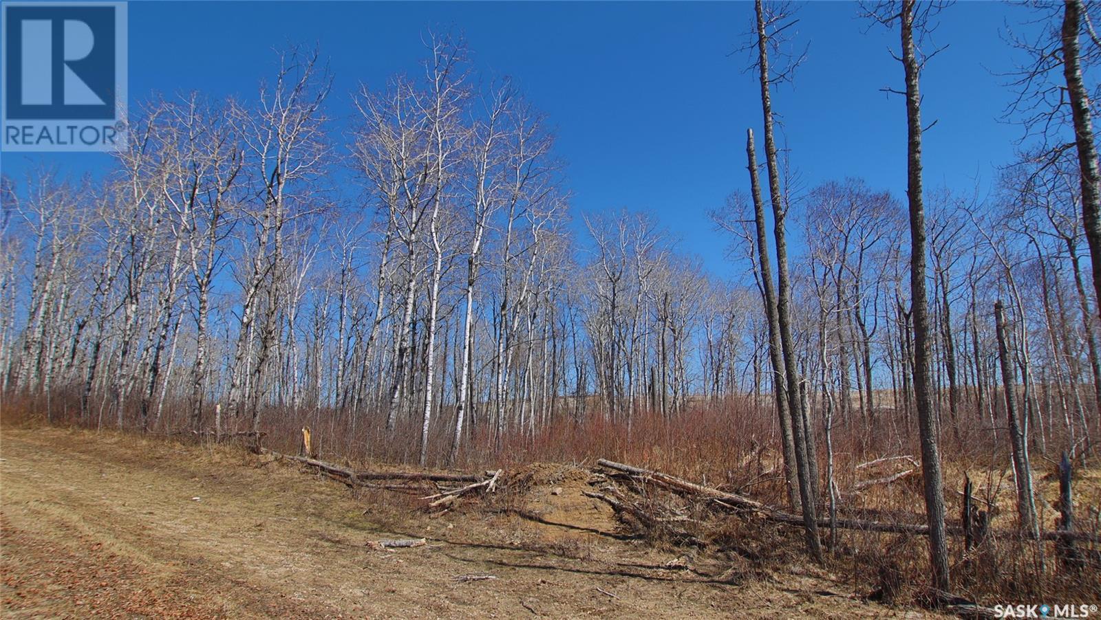 Keg Lake Block 100 Lot 13