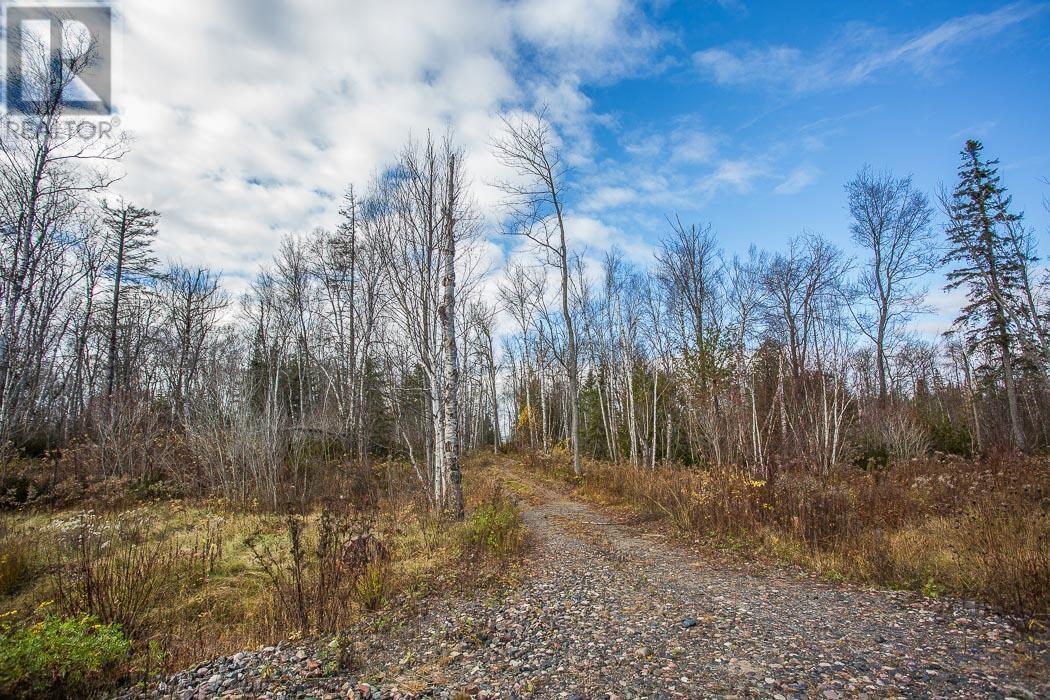 Listing SM222990 - Large Photo # 19