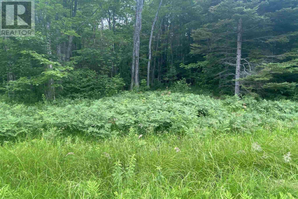 PCL 6795 A Line RD, St. Joseph Island