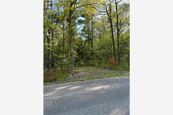 394 Finns Bay RD, Echo Bay
