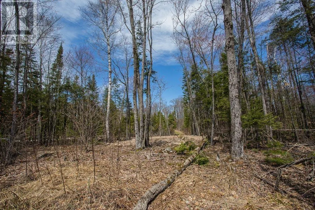 279 Finns Bay RD N