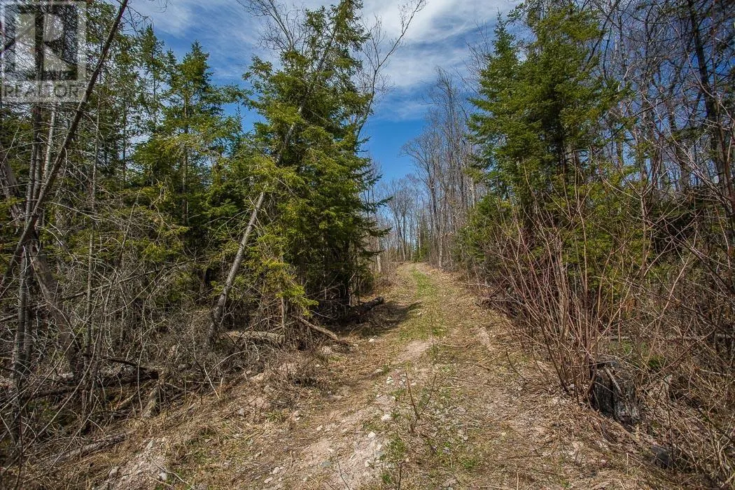 279 Finns Bay RD N