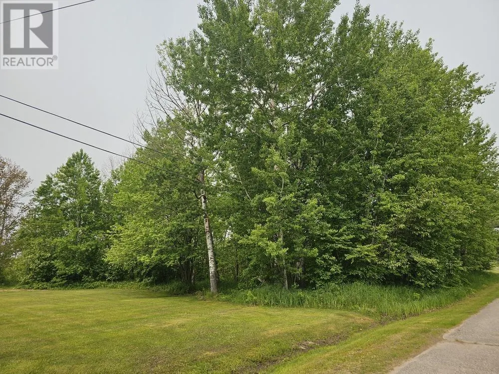 187 Lake ST|Vacant land yet to be severed
