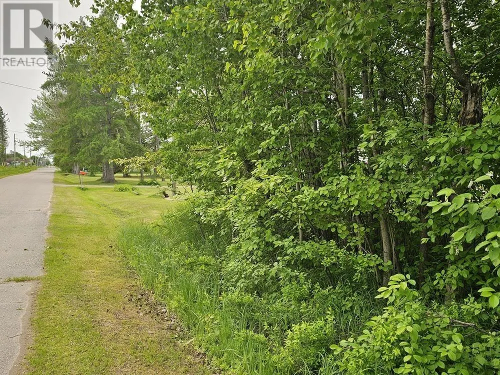 187 Lake ST|Vacant land yet to be severed