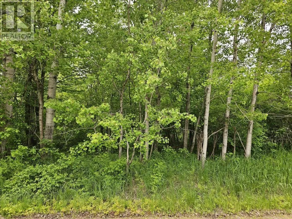 187 Lake ST|Vacant land yet to be severed