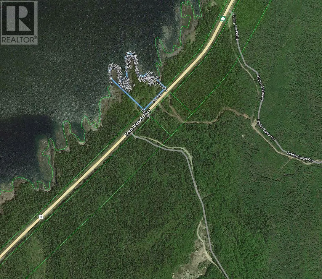 Past Mile Marker 1150, Highway 17 N