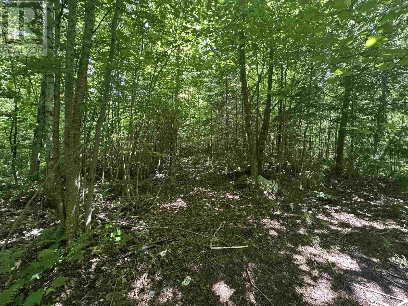 1288 Government RD