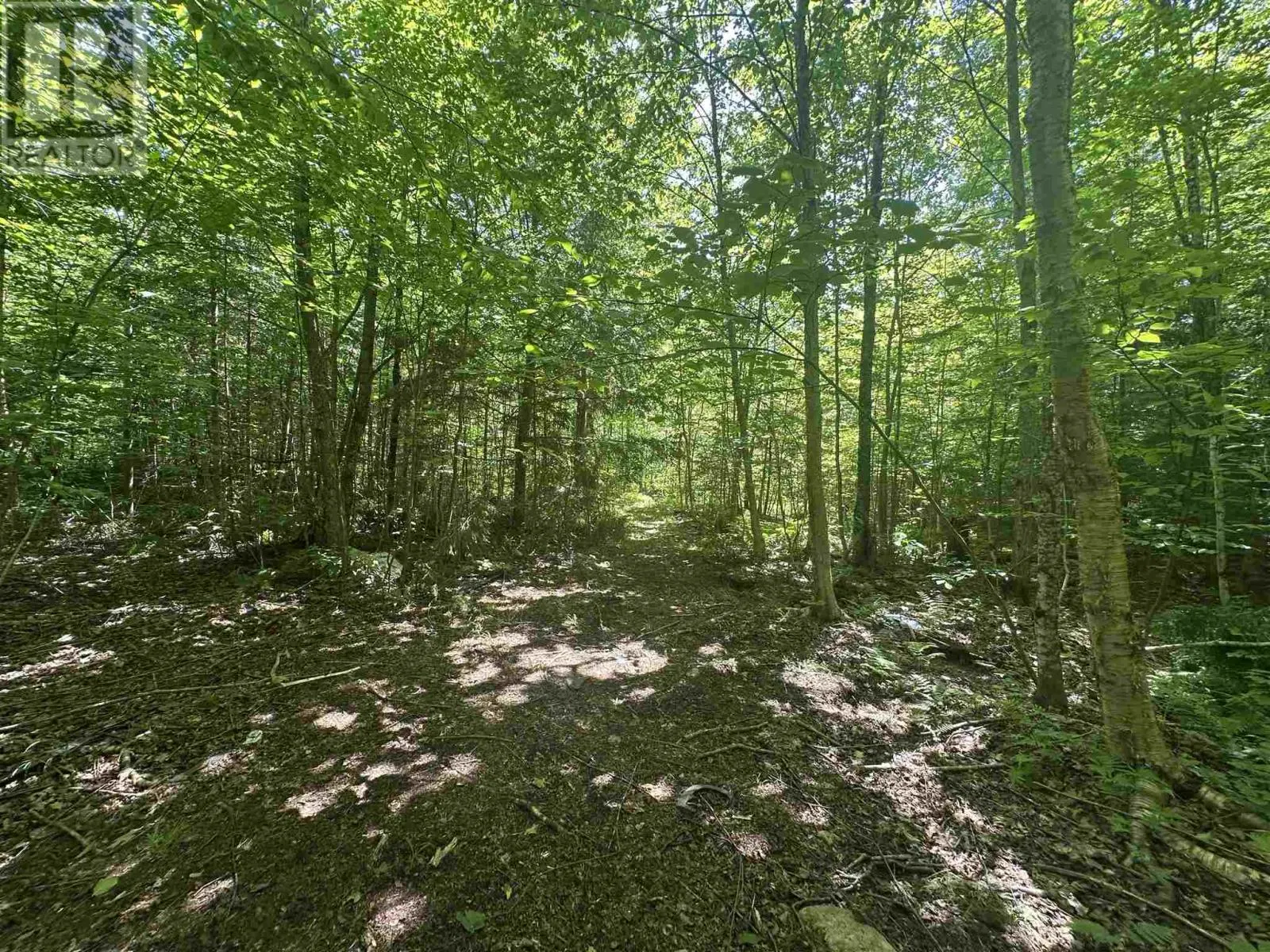 1288 Government RD