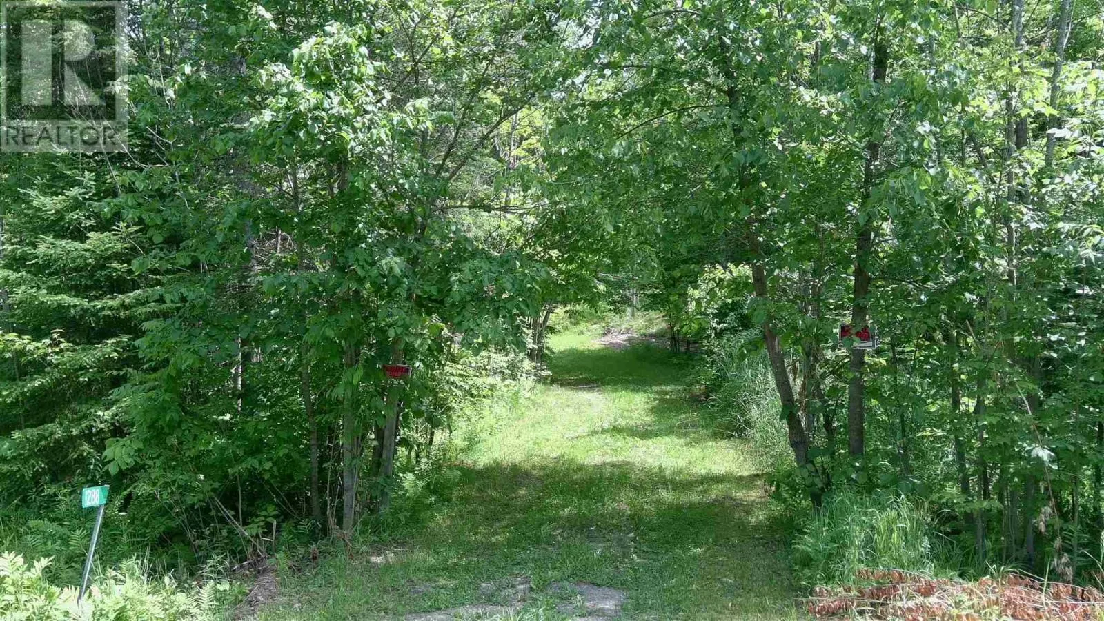 1288 Government RD