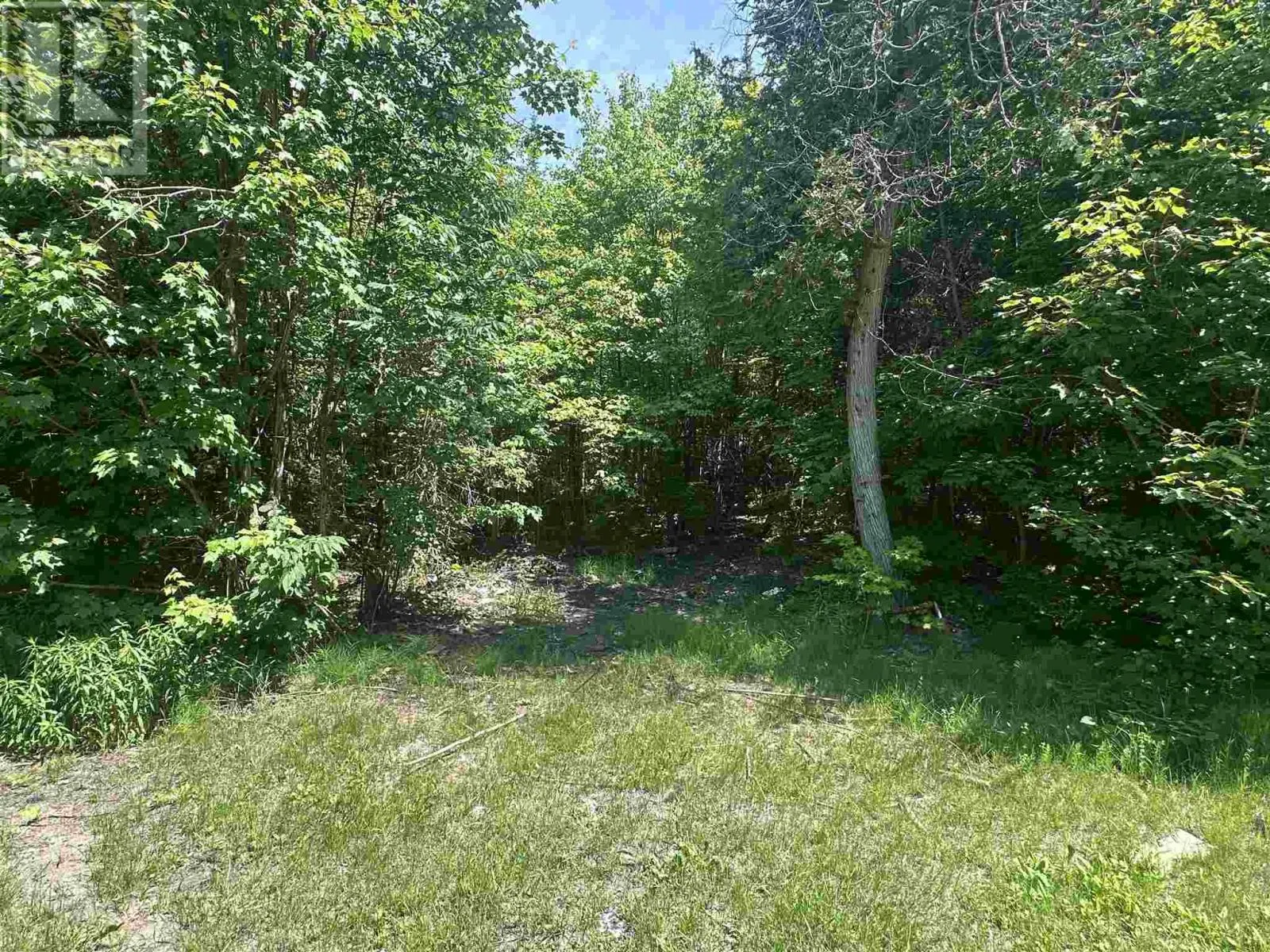 1288 Government RD