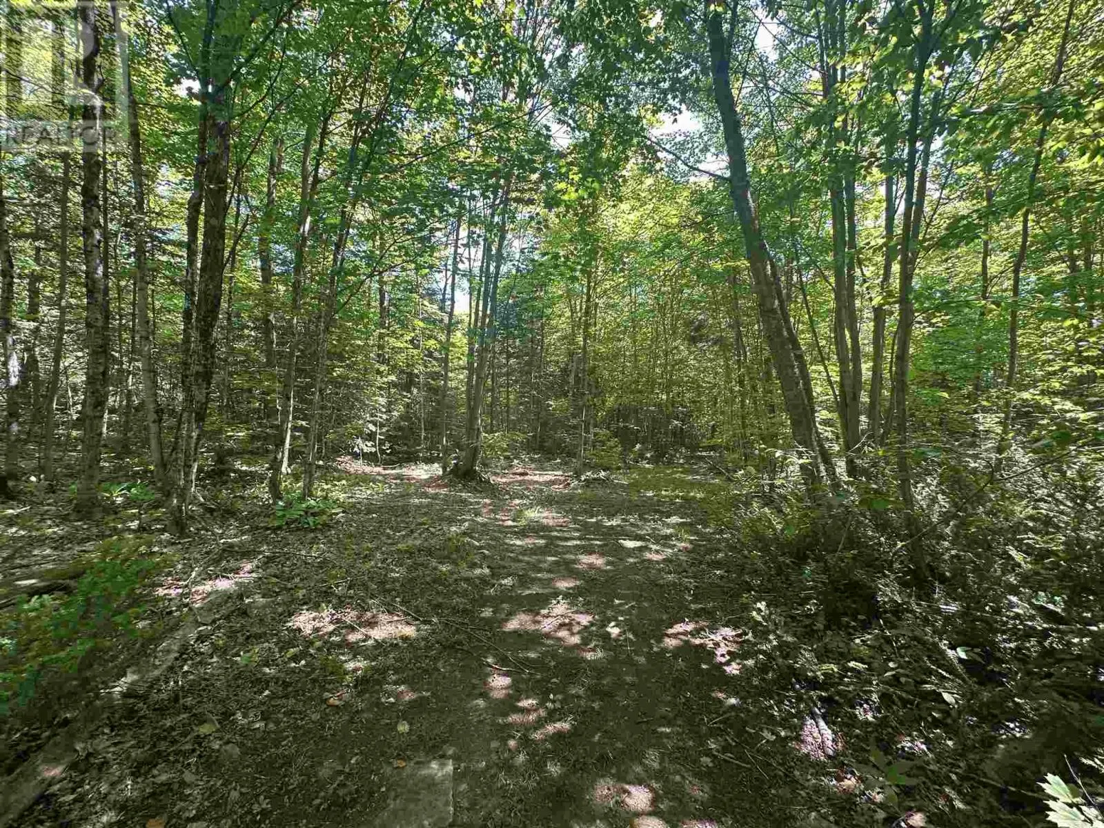 1288 Government RD