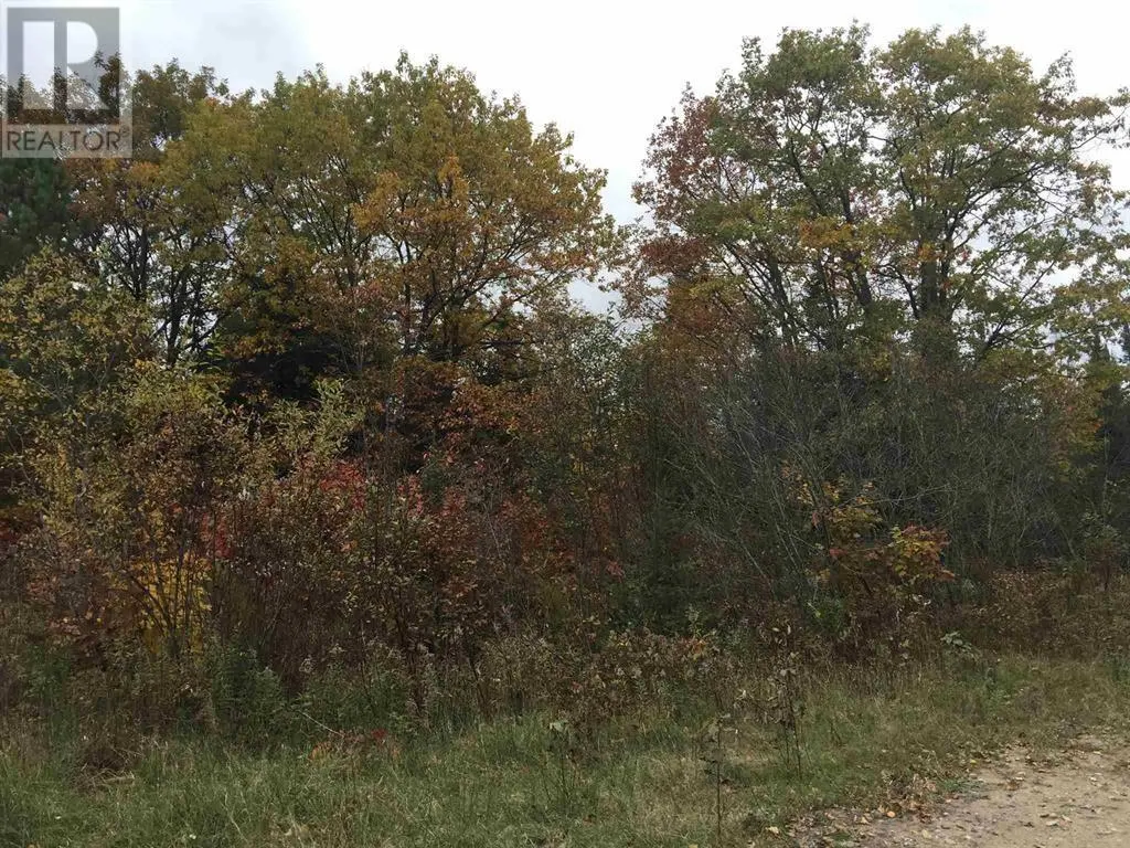 Lot 2 & 3 con Nelson DR