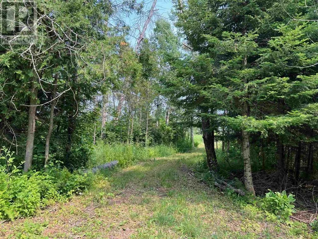 Lot 2 & 3 con Nelson DR