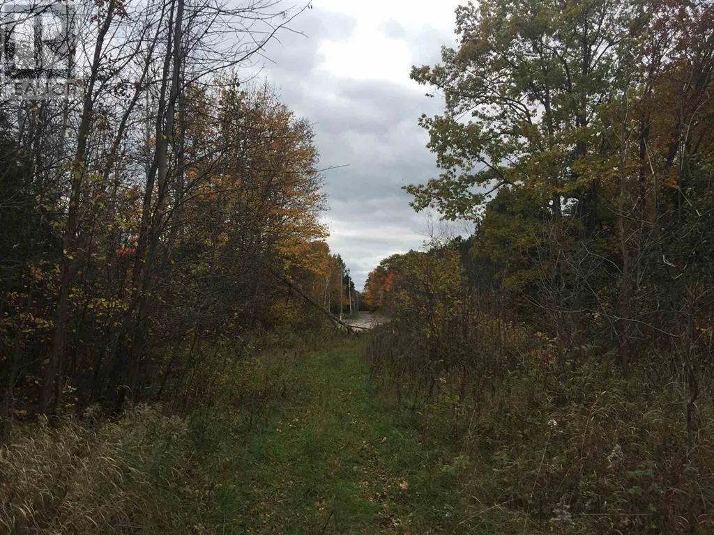 Lot 2 & 3 con Nelson DR