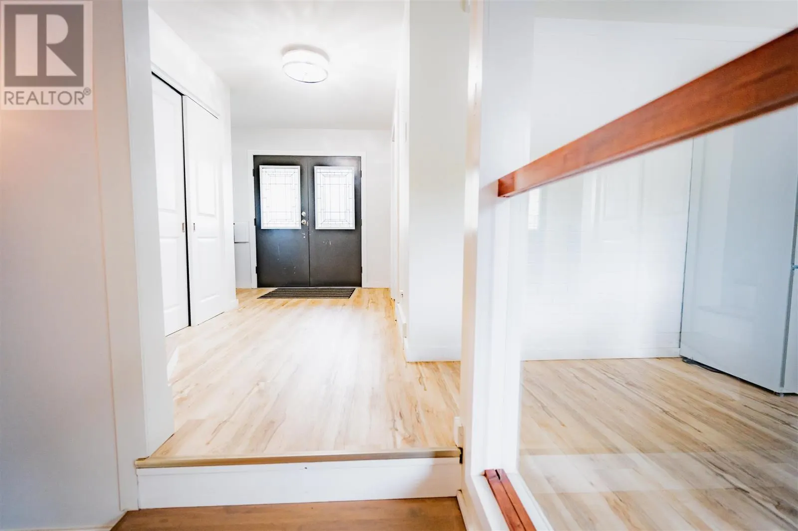 117 Plaintree DR