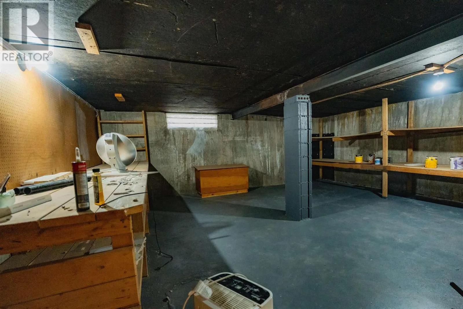 117 Plaintree DR