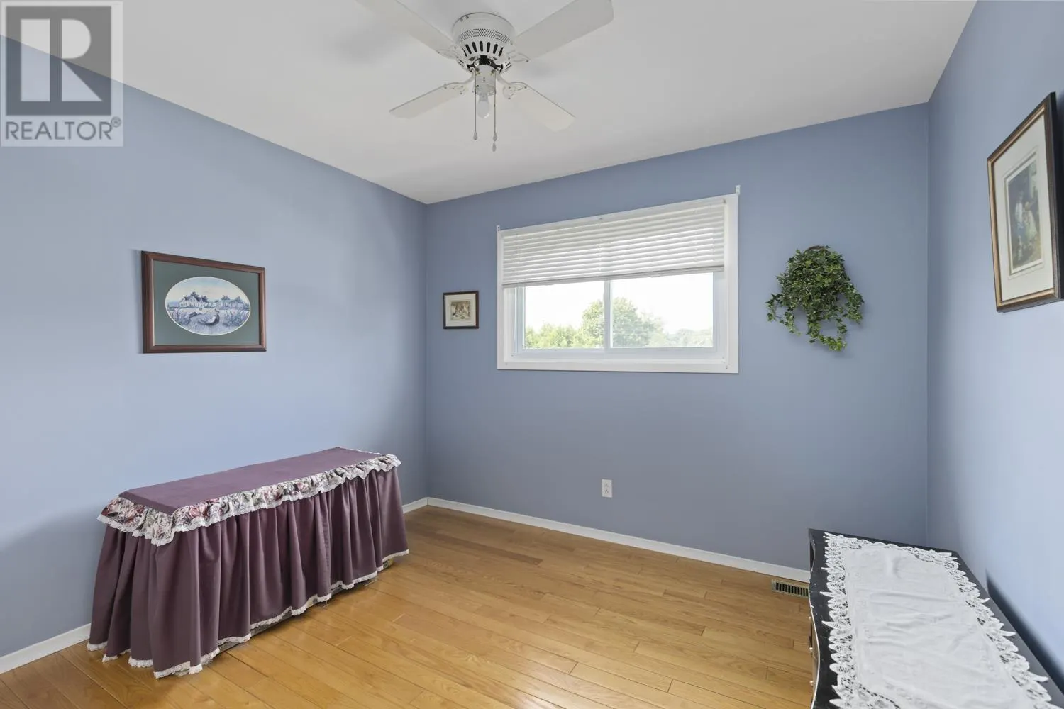 83 Plaintree DR
