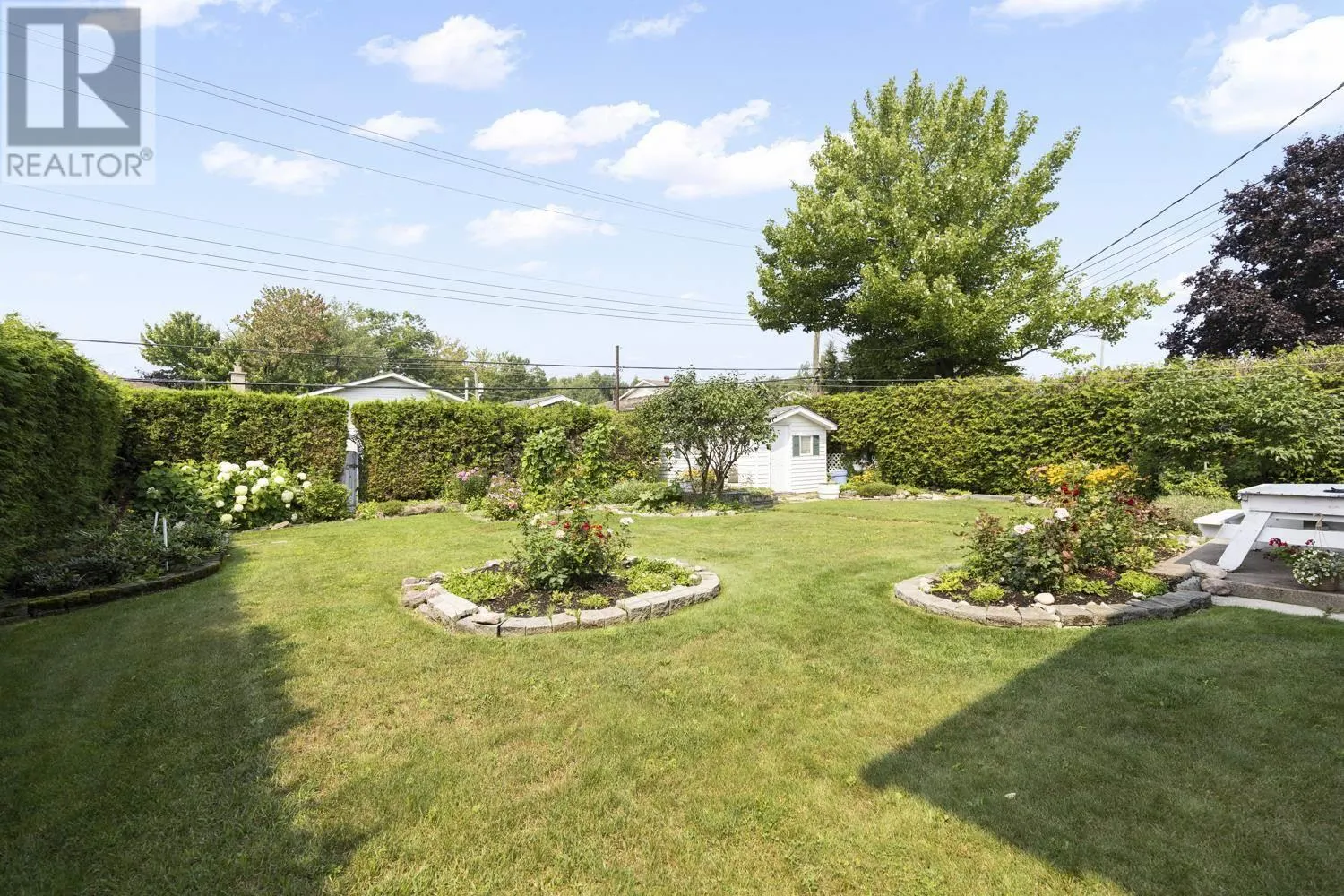 83 Plaintree DR