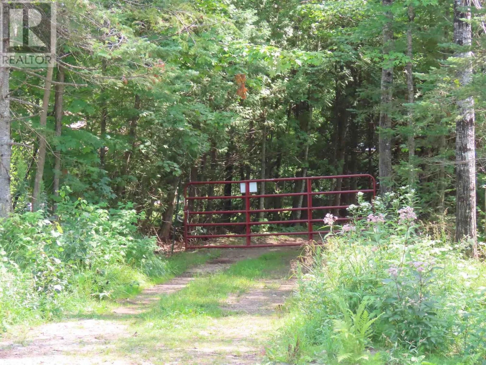 177 Marlette DR