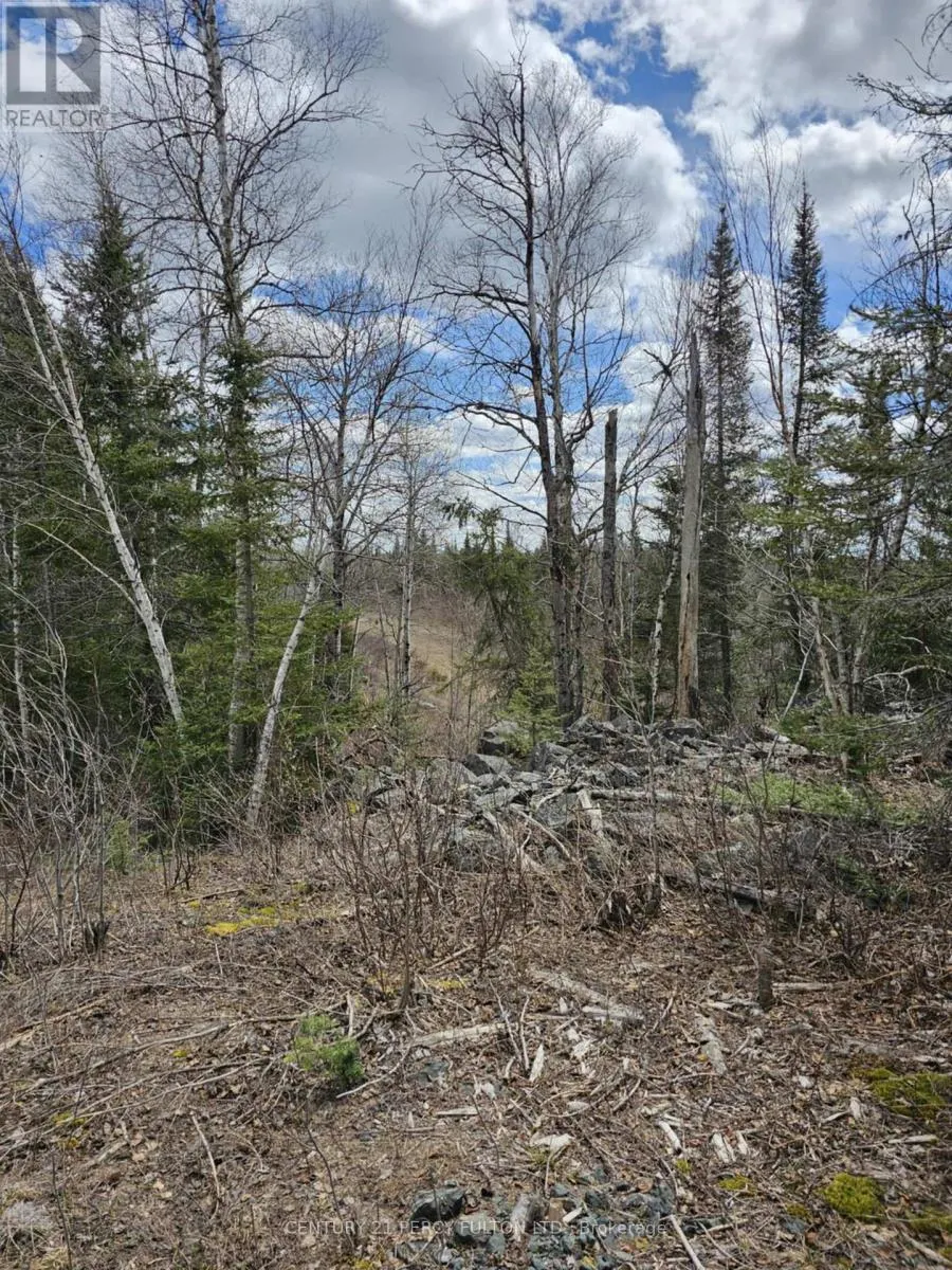 0 DIS OF TIMISKAMING ROAD