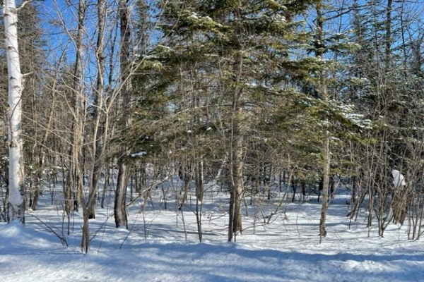 406 Gus Wouri RD, Thunder Bay