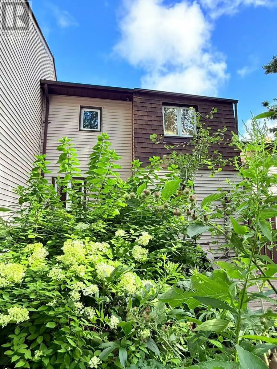563 Pasteur RD
