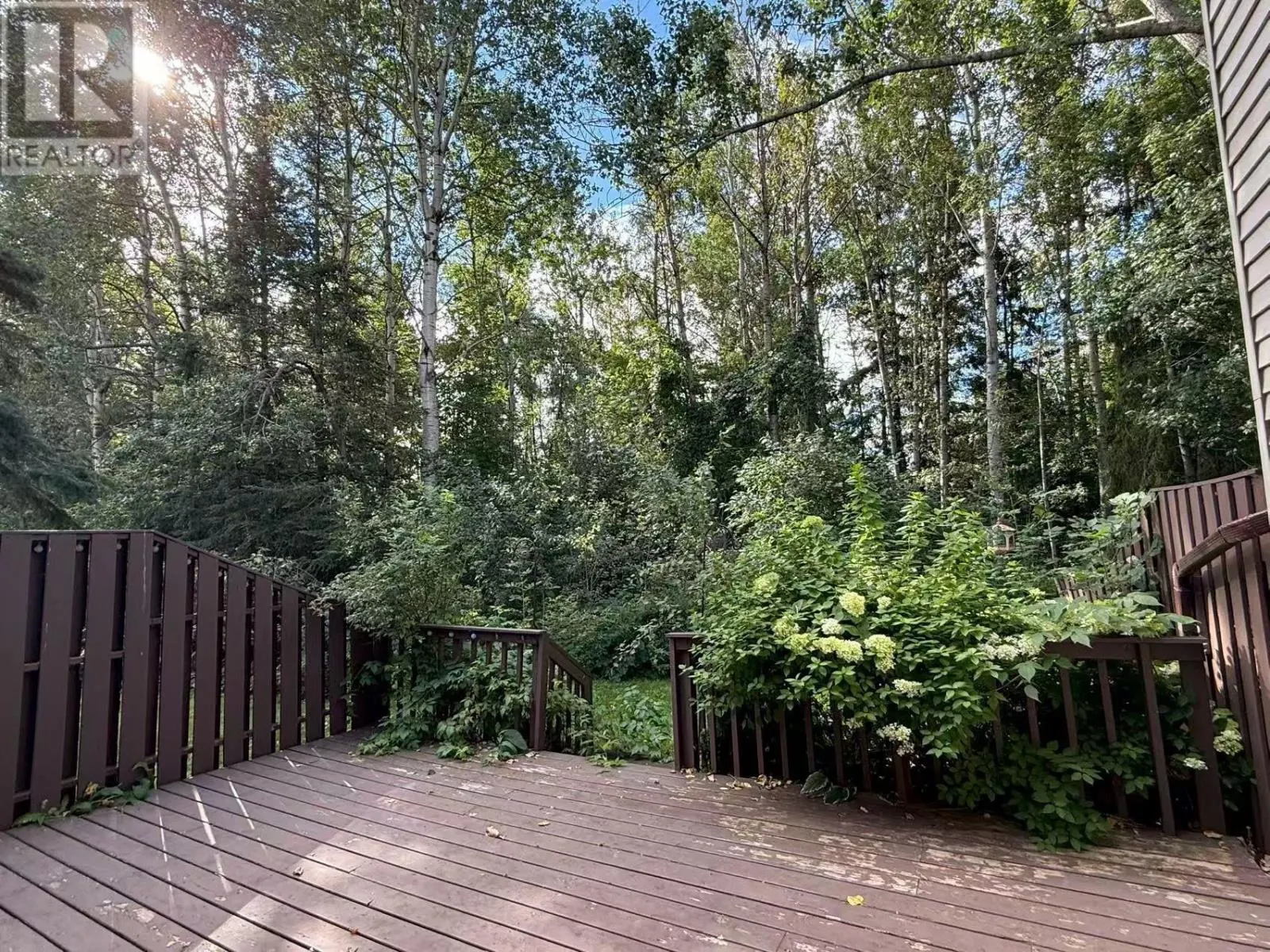 563 Pasteur RD