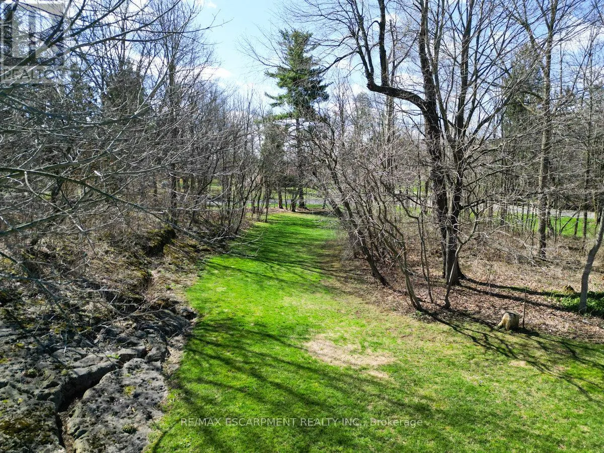 5029 CEDAR SPRINGS COURT