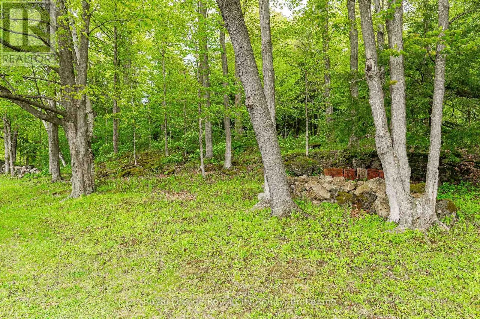 1159 CAMPBELLVILLE ROAD