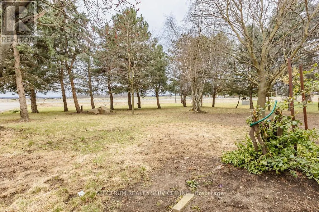 12777 MISSISSAUGA ROAD