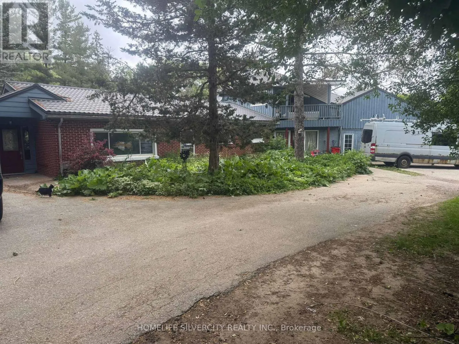 15489 HUMBER STATION ROAD