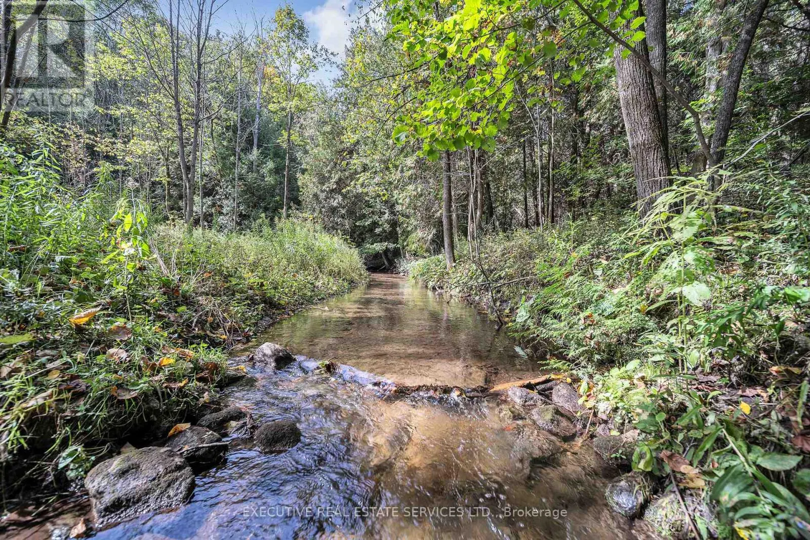 16198 CENTREVILLE CREEK ROAD