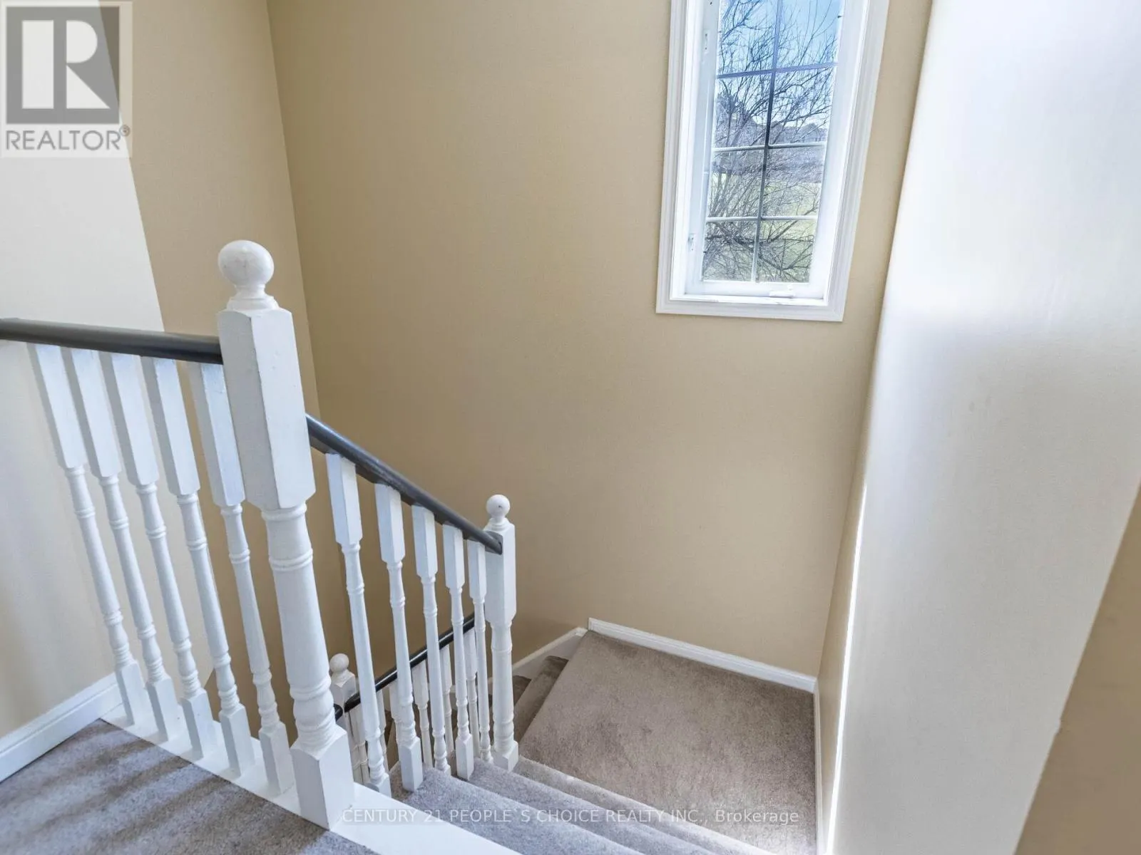 18 PALOMINO TRAIL