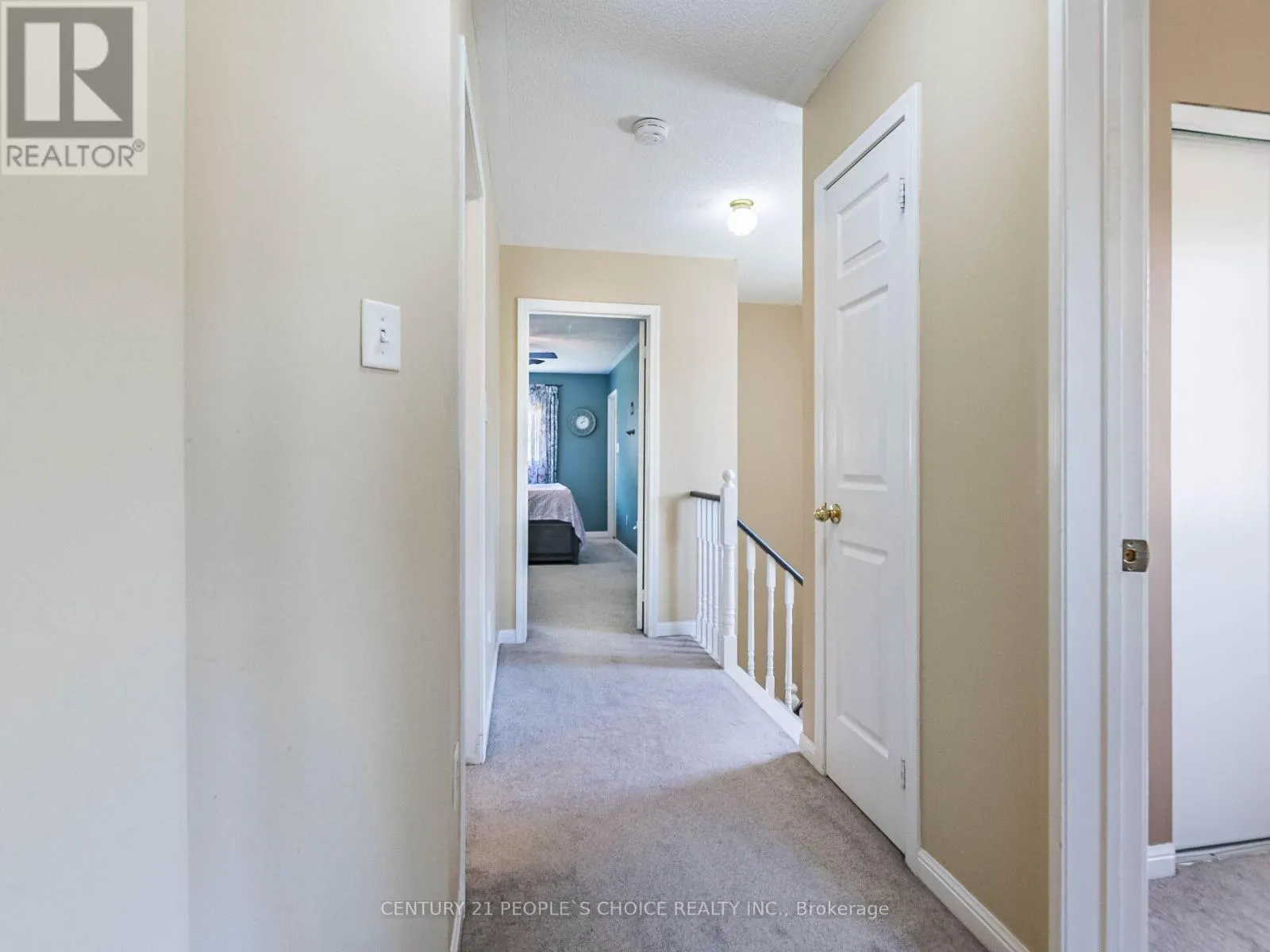 18 PALOMINO TRAIL