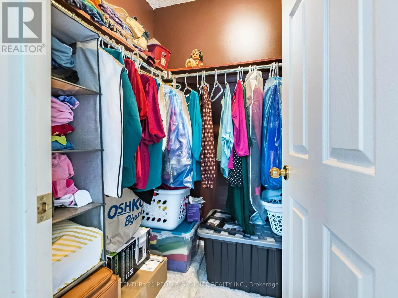 18 PALOMINO TRAIL