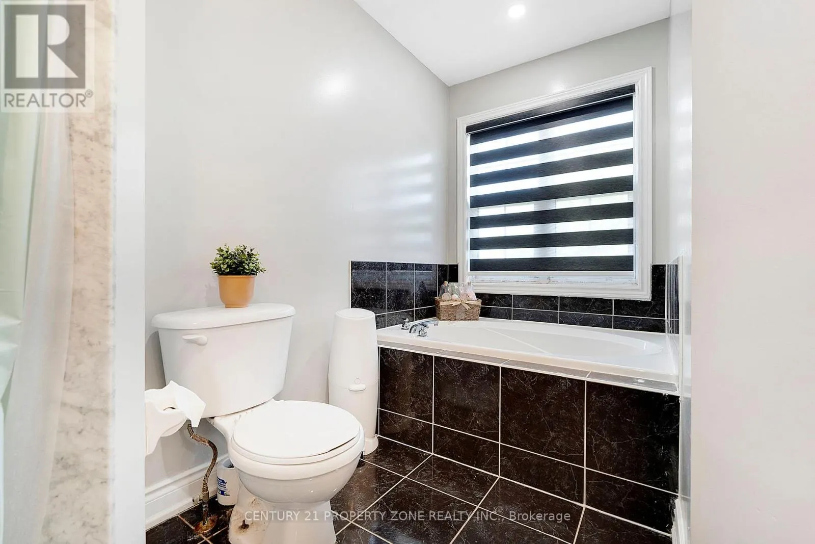 185 BRISDALE DRIVE