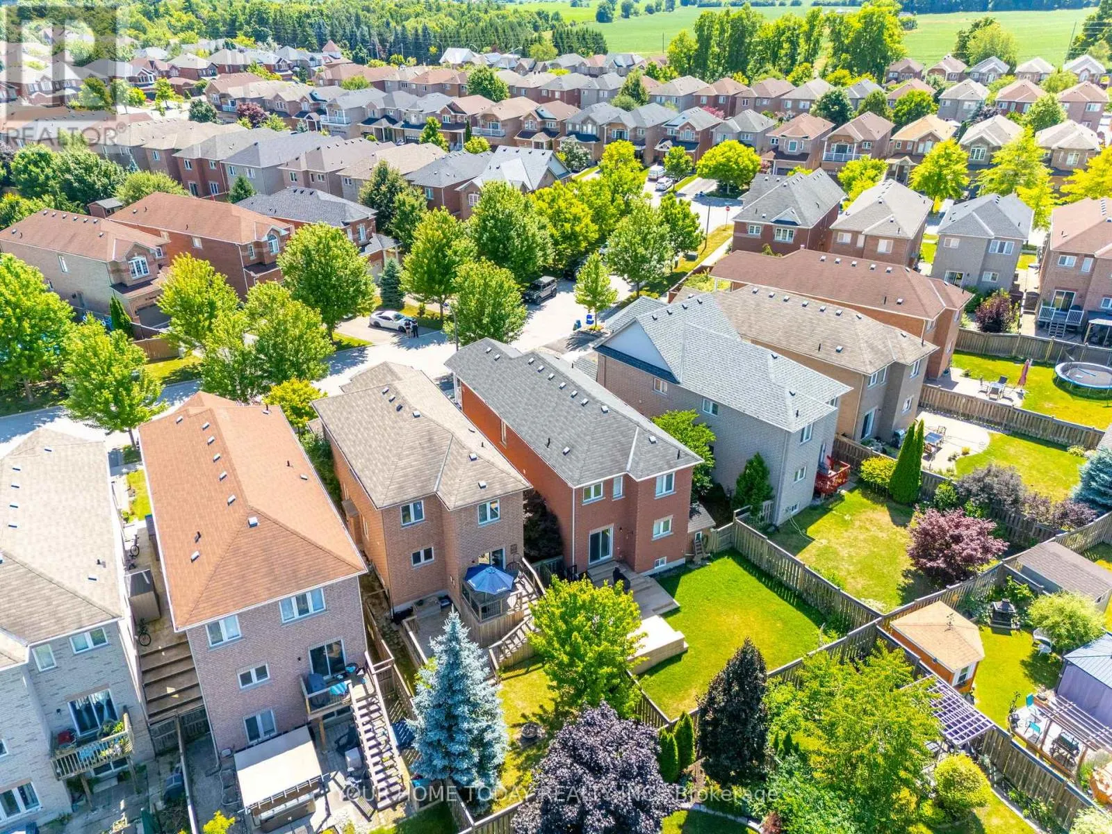 31 ELDERBERRY GATE