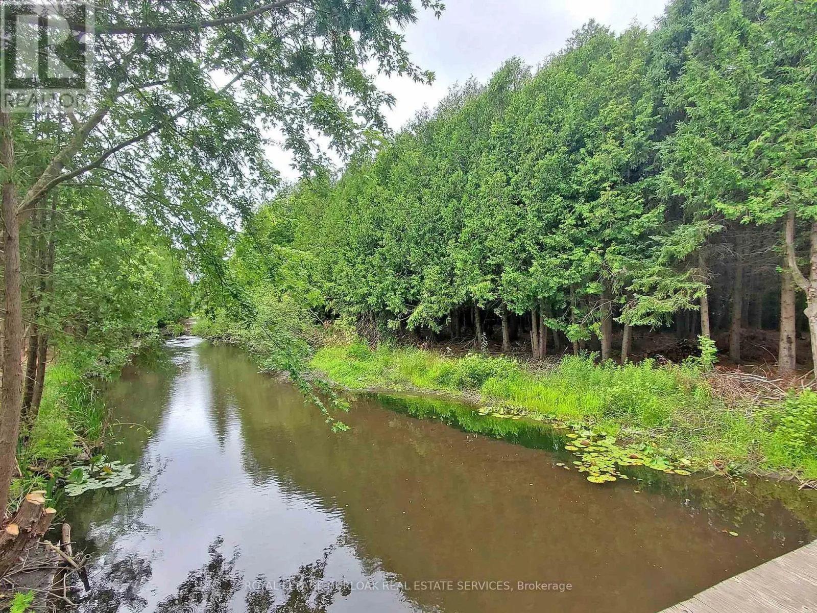 569 HIGHPOINT SIDE ROAD