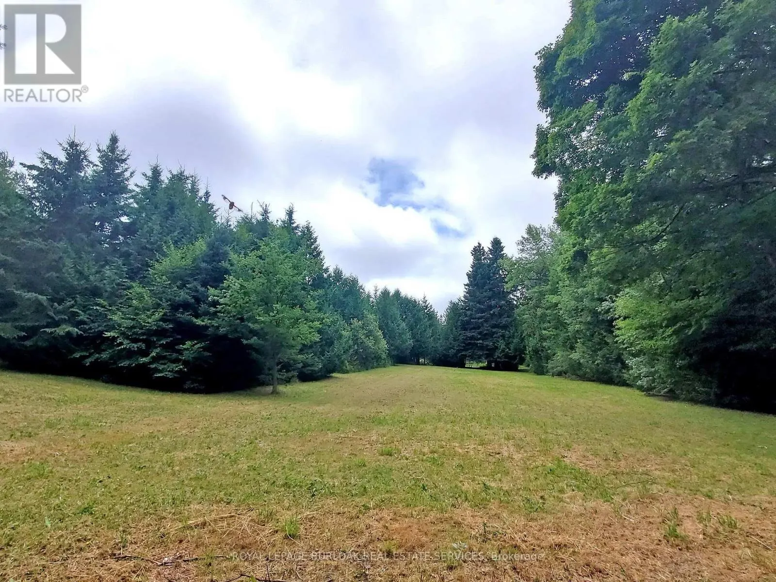 569 HIGHPOINT SIDE ROAD