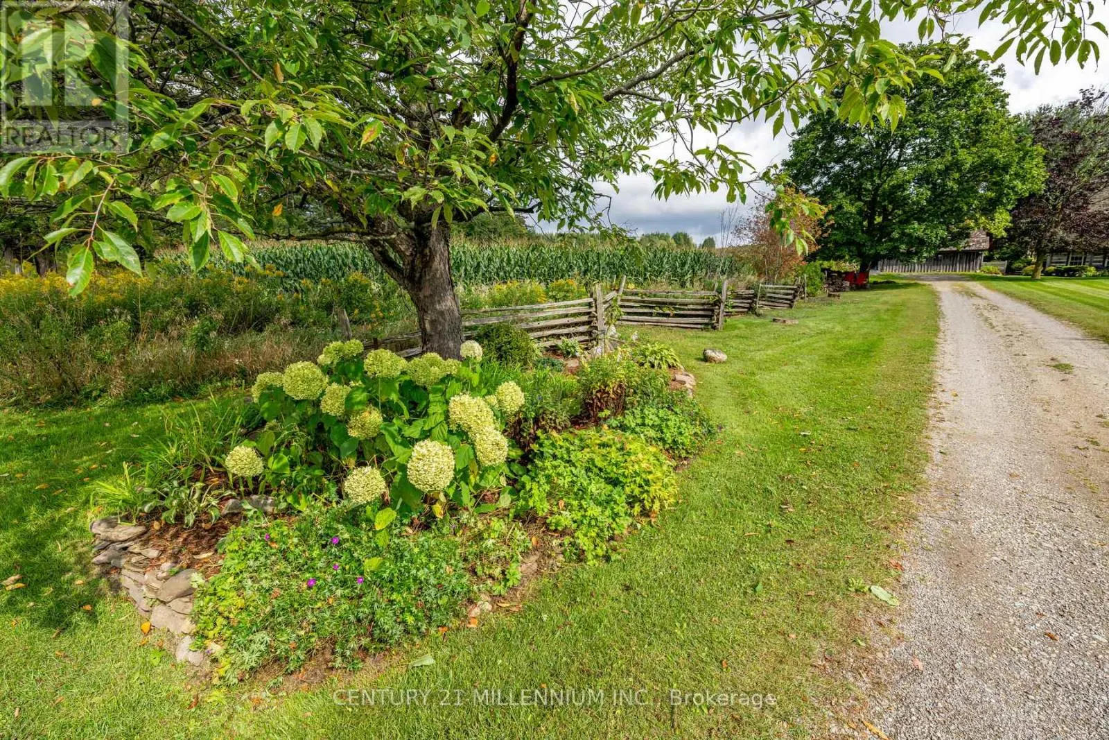 20909 SHAWS CREEK ROAD