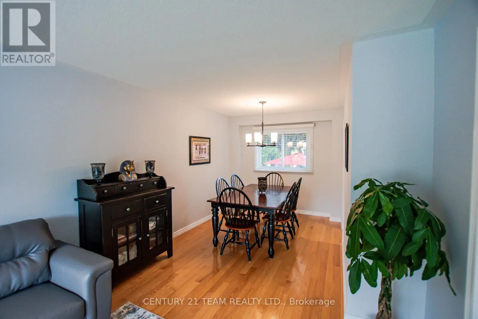 17 RUDDELL CRESCENT