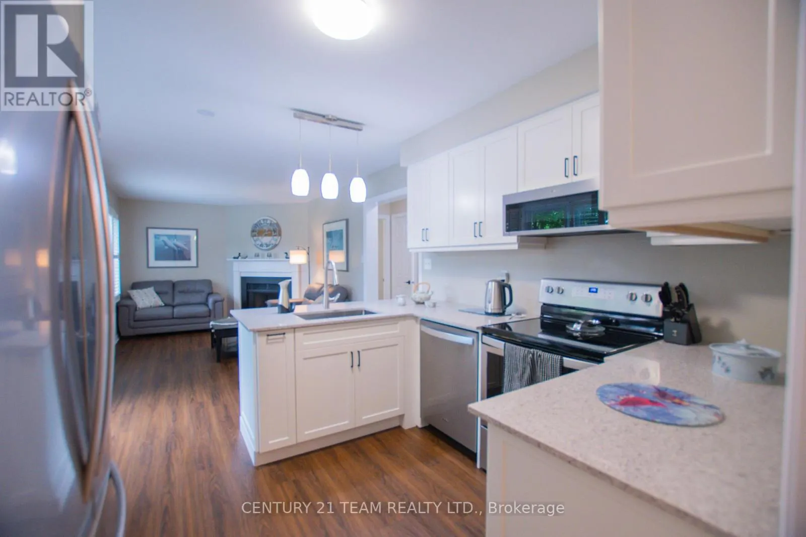 17 RUDDELL CRESCENT
